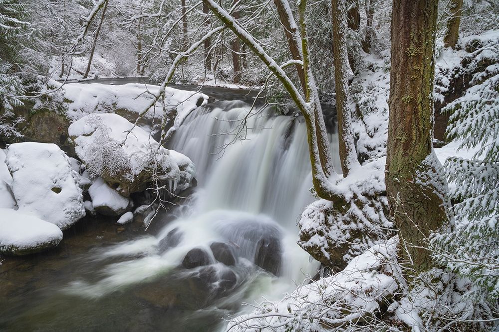 Whatcom Falls after fresh dusting of winter snow Whatcom Falls City Park-Bellingham art print by Alan Majchrowicz for $57.95 CAD